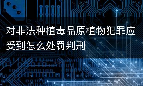 对非法种植毒品原植物犯罪应受到怎么处罚判刑