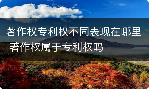 著作权专利权不同表现在哪里 著作权属于专利权吗