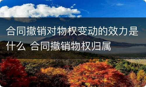 合同撤销对物权变动的效力是什么 合同撤销物权归属