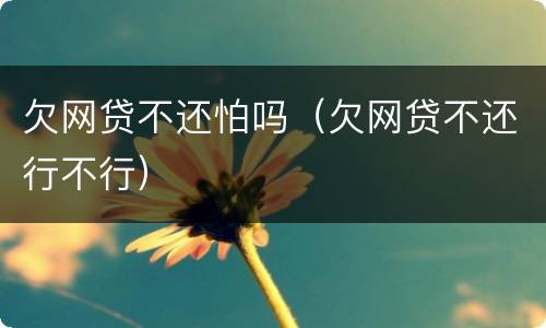 欠网贷不还怕吗（欠网贷不还行不行）