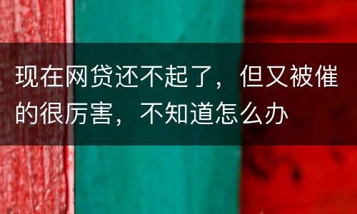 现在网贷还不起了，但又被催的很厉害，不知道怎么办