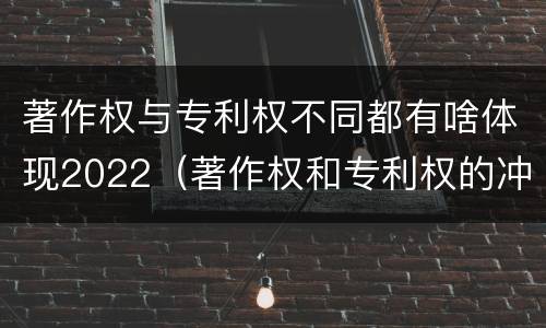 著作权与专利权不同都有啥体现2022（著作权和专利权的冲突）