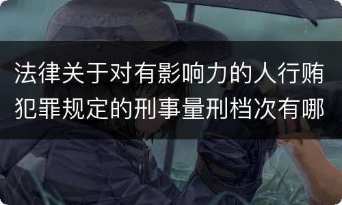 法律关于对有影响力的人行贿犯罪规定的刑事量刑档次有哪些