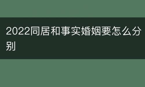 2022同居和事实婚姻要怎么分别