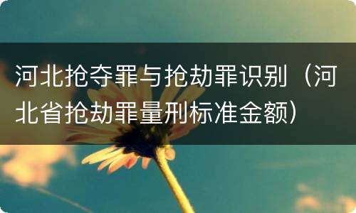河北抢夺罪与抢劫罪识别（河北省抢劫罪量刑标准金额）