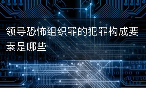 领导恐怖组织罪的犯罪构成要素是哪些