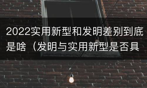 2022实用新型和发明差别到底是啥（发明与实用新型是否具有实用性）