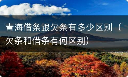 青海借条跟欠条有多少区别（欠条和借条有何区别）