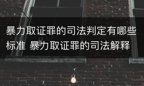 暴力取证罪的司法判定有哪些标准 暴力取证罪的司法解释