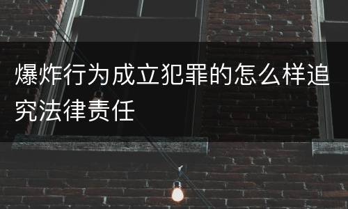 爆炸行为成立犯罪的怎么样追究法律责任