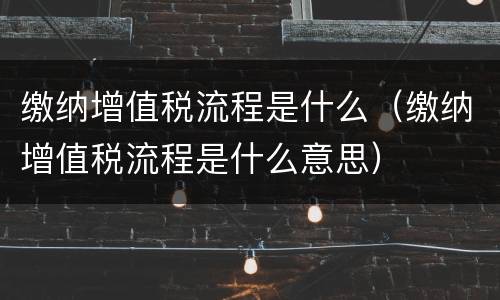 缴纳增值税流程是什么（缴纳增值税流程是什么意思）