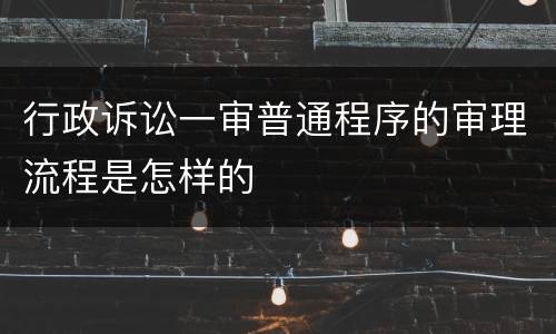 行政诉讼一审普通程序的审理流程是怎样的
