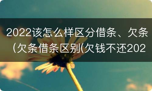 2022该怎么样区分借条、欠条（欠条借条区别(欠钱不还2020年新规 - 法律之家）