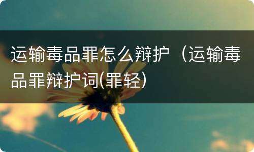 运输毒品罪怎么辩护（运输毒品罪辩护词(罪轻）