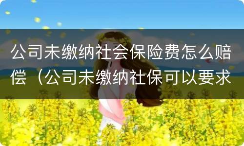 公司未缴纳社会保险费怎么赔偿（公司未缴纳社保可以要求赔偿吗）