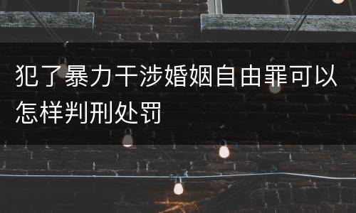 犯了暴力干涉婚姻自由罪可以怎样判刑处罚