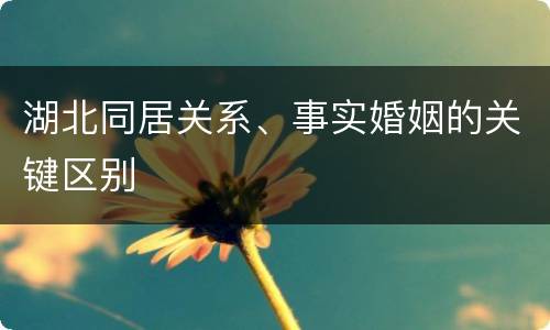 湖北同居关系、事实婚姻的关键区别