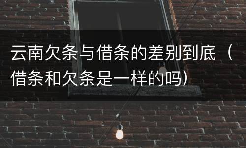 云南欠条与借条的差别到底（借条和欠条是一样的吗）