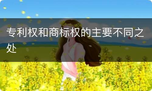 专利权和商标权的主要不同之处