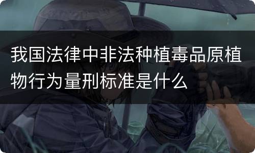 我国法律中非法种植毒品原植物行为量刑标准是什么