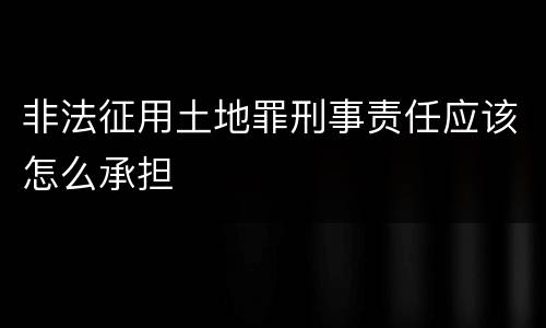 非法征用土地罪刑事责任应该怎么承担