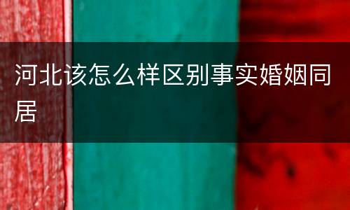 河北该怎么样区别事实婚姻同居
