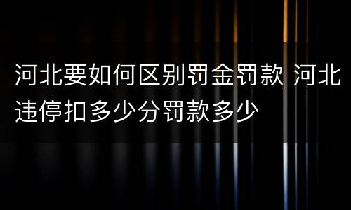 河北要如何区别罚金罚款 河北违停扣多少分罚款多少