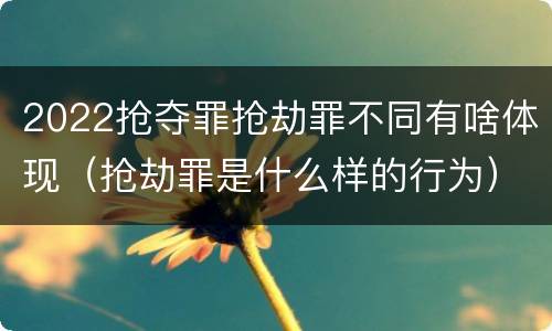2022抢夺罪抢劫罪不同有啥体现（抢劫罪是什么样的行为）