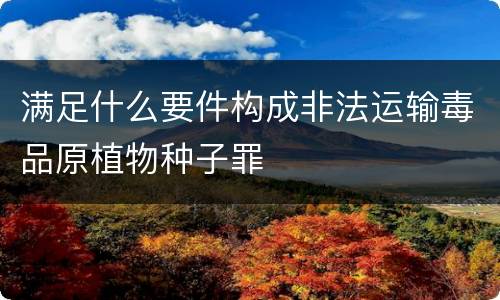 满足什么要件构成非法运输毒品原植物种子罪