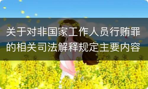 关于对非国家工作人员行贿罪的相关司法解释规定主要内容都有哪些