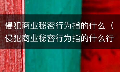 侵犯商业秘密行为指的什么（侵犯商业秘密行为指的什么行为）