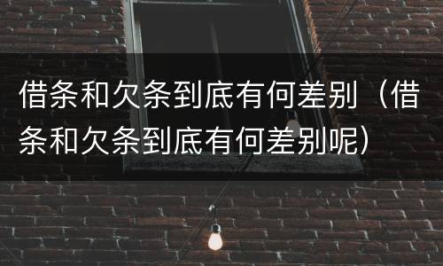 借条和欠条到底有何差别（借条和欠条到底有何差别呢）