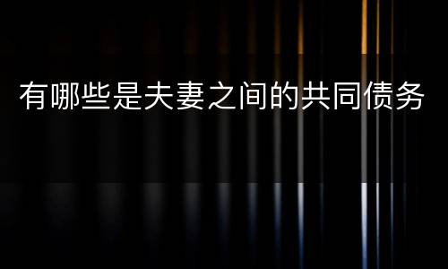 有哪些是夫妻之间的共同债务