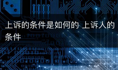 上诉的条件是如何的 上诉人的条件