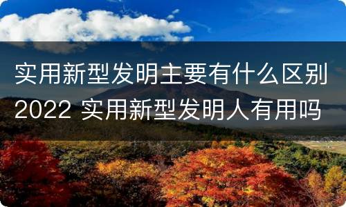 实用新型发明主要有什么区别2022 实用新型发明人有用吗