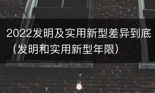 2022发明及实用新型差异到底（发明和实用新型年限）