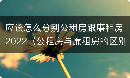 应该怎么分别公租房跟廉租房2022（公租房与廉租房的区别都在此,别再搞错了!）