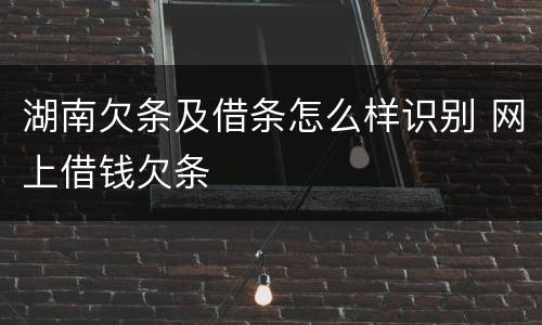 湖南欠条及借条怎么样识别 网上借钱欠条