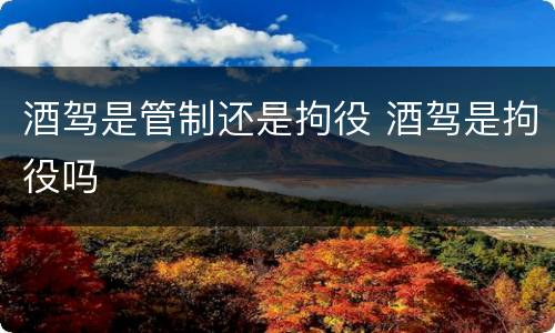 酒驾是管制还是拘役 酒驾是拘役吗