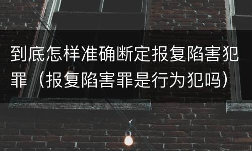 到底怎样准确断定报复陷害犯罪（报复陷害罪是行为犯吗）