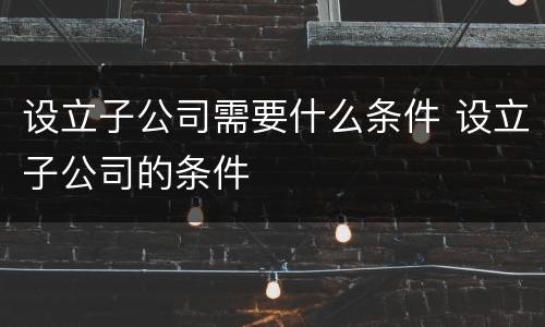 设立子公司需要什么条件 设立子公司的条件