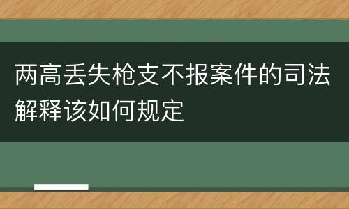 两高丢失枪支不报案件的司法解释该如何规定
