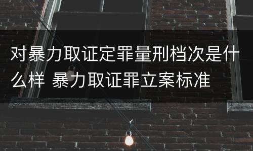 对暴力取证定罪量刑档次是什么样 暴力取证罪立案标准