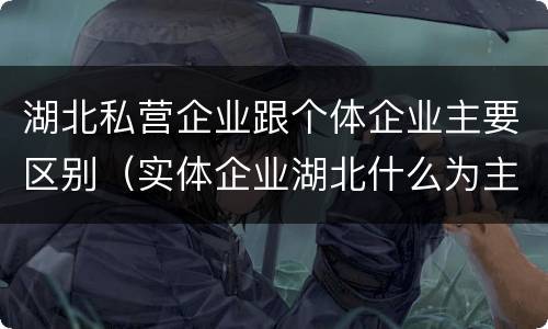 湖北私营企业跟个体企业主要区别（实体企业湖北什么为主）