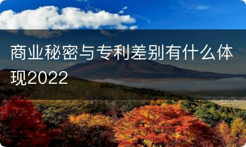 商业秘密与专利差别有什么体现2022