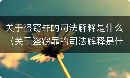 关于盗窃罪的司法解释是什么（关于盗窃罪的司法解释是什么呢）