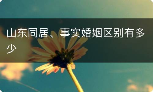 山东同居、事实婚姻区别有多少