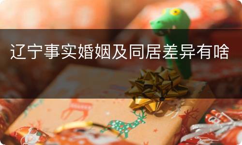 辽宁事实婚姻及同居差异有啥