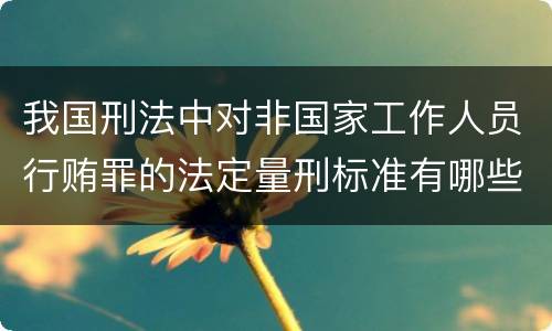 我国刑法中对非国家工作人员行贿罪的法定量刑标准有哪些