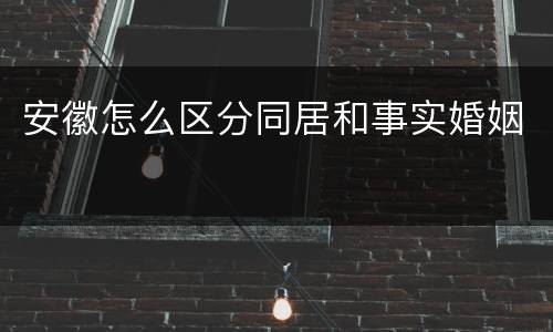 安徽怎么区分同居和事实婚姻